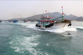 La lutte contre la pêche INN aidera à développer durablement l’économie maritime de Ninh Thuân