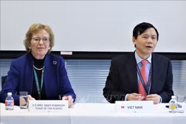 Le Vietnam préside une réunion du Comité de l’ASEAN à New York