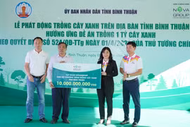 Campagne de plantation d’arbres à Binh Thuân pour protéger l’environnement