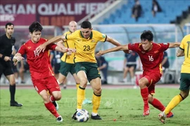 Mondial 2022: le Vietnam exhorte à renforcer le contrôle de la qualité de l’arbitrage