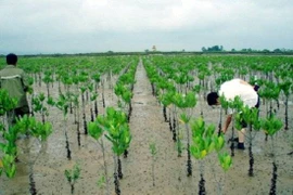 Le GCF aide Quang Nam à renforcer sa résilience au changement climatiquem