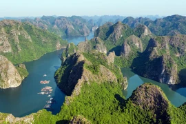 Les sites à visiter à Cat Ba 