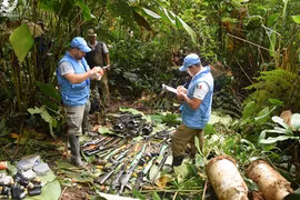 Le Vietnam appelle l’ONU à promouvoir la paix, la sécurité et le développement en Colombie