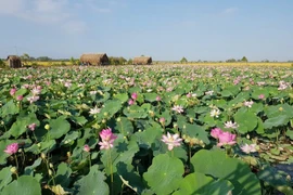 200 plats à base de lotus remportent un record du monde