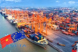 Amélioration de politiques pour la mise en oeuvre efficace de l’EVFTA