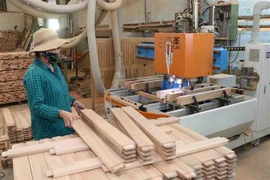 Exportations nationales de bois: 11 milliards de dollars visés cette année