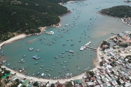 Ninh Thuân fait du tourisme un secteur économique clé