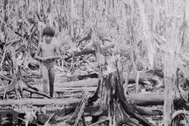 60 ans de la catastrophe de l'agent orange/dioxine au Vietnam : une guerre cruelle