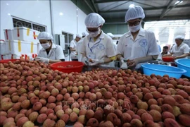 Des litchis frais vietnamiens présents dans de grands supermarchés américains