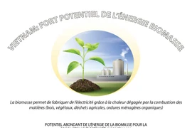 Vietnam: fort potentiel de l’énergie biomasse