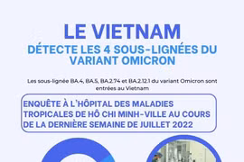Le Vietnam détecte les 4 sous-lignées du variant Omicron 
