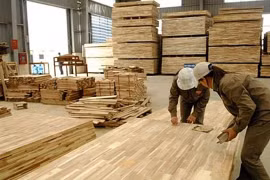Bond de plus de 18% des exportations de produits forestiers durant les huit premiers mois