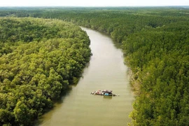 Approbation d’un projet sur la protection et le développement des forêts dans les zones côtières