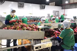 Les exportations de produits agricoles, sylvicoles et aquatiques en hausse de 50,3%