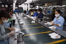 Les exportations de cuir et de chaussures sont prometteuses