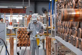 Une usine australienne de 46 millions de dollars entre en service à Binh Duong 