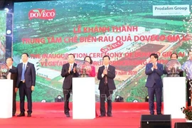 Mise en service du plus grand centre de transformation de fruits et légumes au Vietnam