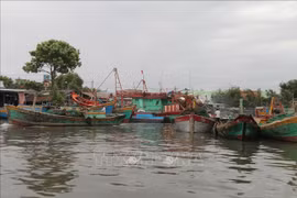 Renforcement de la sensibilisation à la lutte contre la pêche INN à Tiên Giang