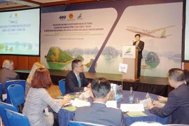 Bientôt une ligne aérienne directe entre le Vietnam et la République tchèque
