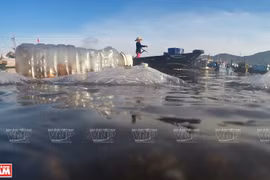 Lutte contre les déchets plastiques vers le développement de l’économie circulaire