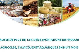 Hausse de plus de 13% des exportations de produits agricoles, sylvicoles et aquatiques en huit mois