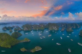 Six expériences incontournables lors d'une visite au Vietnam
