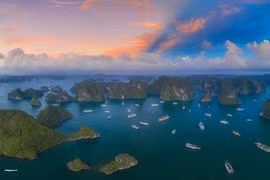 Six expériences incontournables lors d'une visite au Vietnam