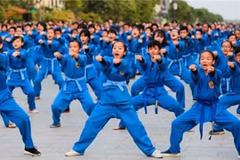 La Coupe d’ambassadeurs de vovinam a fière allure en Algérie