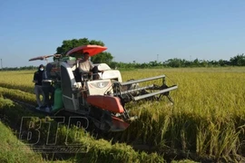 Thai Binh veut attirer les investisseurs de la Toscane en Italie
