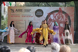 Promotion de l’image du Vietnam au Festival culturel de l’Asie