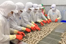 Un bon signe pour les exportateurs vietnamiens de crevettes