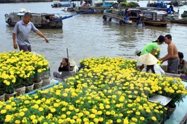 Têt 2018 : fêtes des fleurs à Hô Chi Minh-Ville