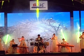 Coup d’envoi de la journée sud-coréenne à Quang Nam 