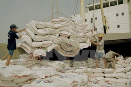 Forte hausse des exportations nationales de riz en 8 mois
