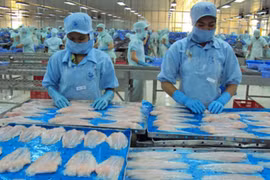 Recul des exportations vietnamiennes de pangasius aux Etats-Unis et en UE