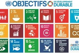 Développement durable : de l’engagement à l’action