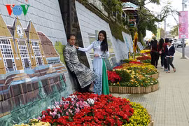 Le 7e Festival des fleurs de Da Lat en décembre prochain