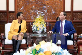 Promotion de la coopération intégrale Vietnam - Afrique du Sud