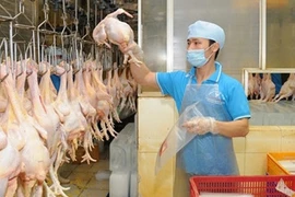 Dông Nai : les éleveurs commencent à exporter leurs poulets au Japon