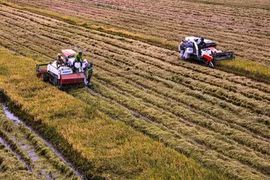 Avenir de la chaîne d’approvisionnement agricole du delta du Mékong
