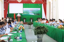 Cân Tho cherche à développer des infrastructures vertes