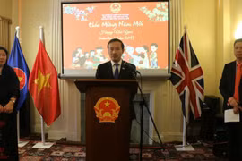 Le Têt traditionnel célébré par la diaspora dans différents pays