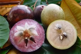 Les Etats-Unis acceptent d’importer la pomme de lait vietnamienne