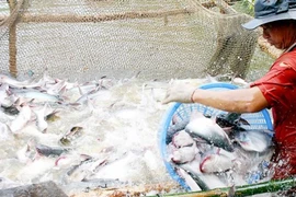 Publication d’une enquête sur la campagne, l’agriculture et l’aquaculture