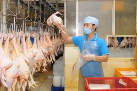 Près de 400 tonnes de viande de poulet seront exportées vers le Japon