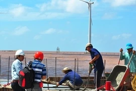 Installation de 50 éoliennes à Cà Mau