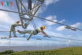 Le Renouveau aux yeux des jeunes photographes du delta du Mékong