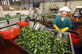 Les exportations végétales en pleine croissance