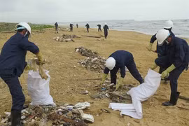 Le tourisme littoral face au défi de la pollution