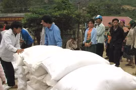 Têt lunaire 2017: plus de 1.100 tonnes de riz pour Gia Lai et Dak Lak
